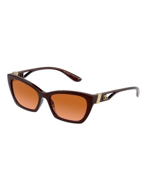 Dolce & Gabbana Black Dg6155 329078 Sunglasses Plastic Cat Eye Nuanced