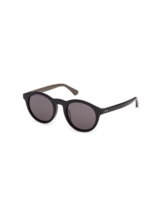 Web Black We0398 05A Sunglasses Acetate Smoke Round Normal for men