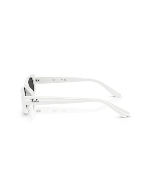 Ray-Ban Black Rb4441d Oval Sunglasses