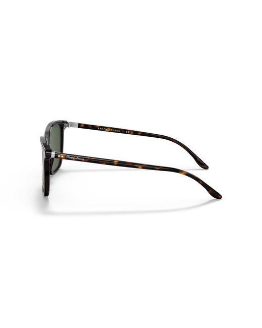 Ralph Lauren Green Rl8199 500371 Sunglasses Acetate Pillow Normal for men