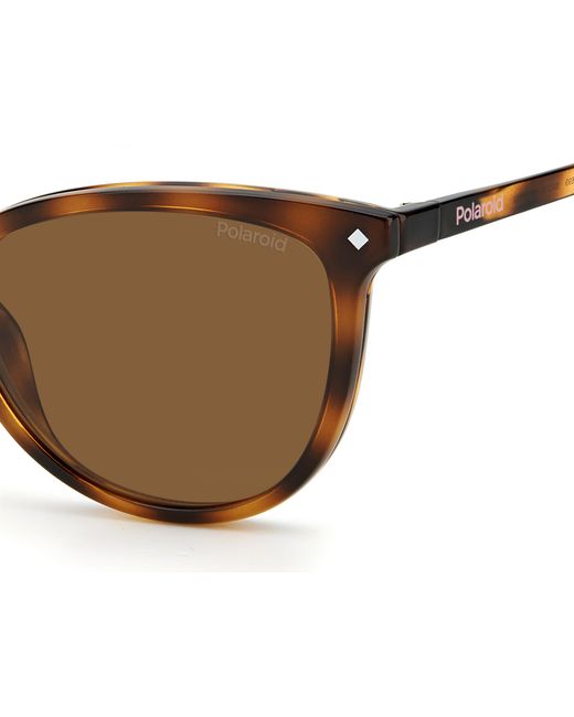 Polaroid Black Pld 6138/Cs 086/Sp Sunglasses Plastic Cat Eye Clip-On