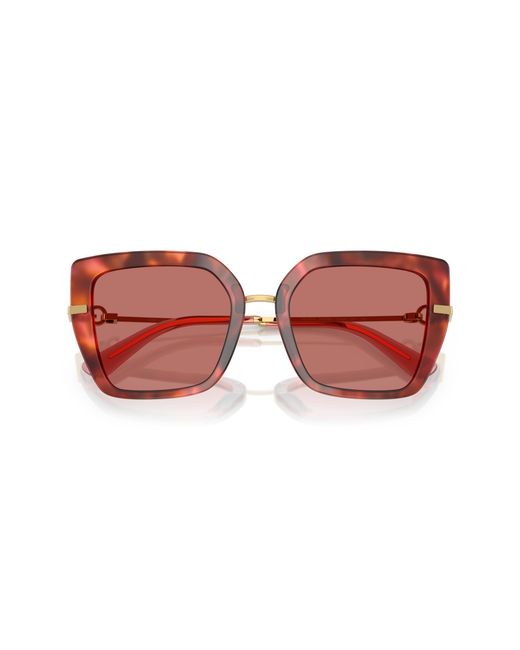 Dolce & Gabbana Black Dg4474 344469 Sunglasses Acetate Butterfly Normal