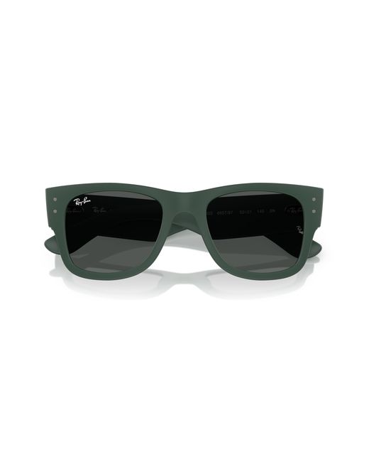 Ray-Ban Black Ray
