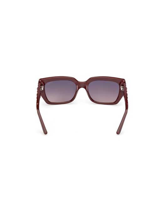 Guess Black Gu00254 69Z Sunglasses Injected Squared Normal
