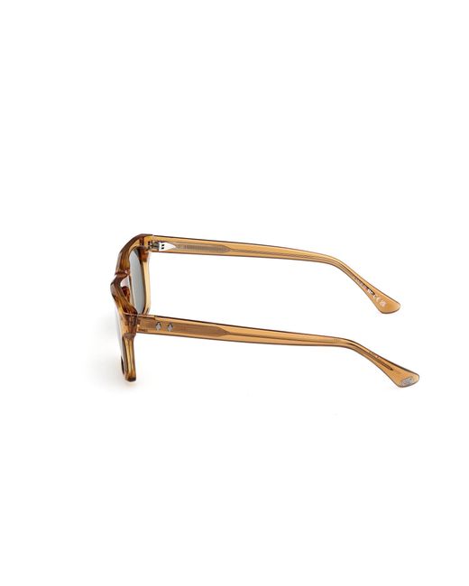 Web Black We0382 39N Sunglasses Acetate Squared Normal for men