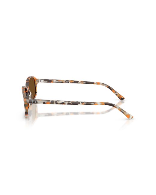 Ray-Ban Black Ray