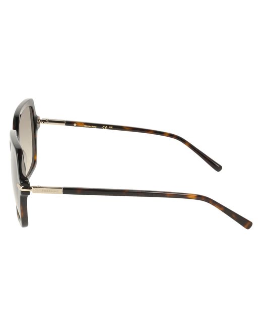 Ferragamo Black Sf2076S 242 Sunglasses Acetate Squared Normal
