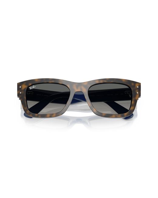 Ray-Ban Black Ray