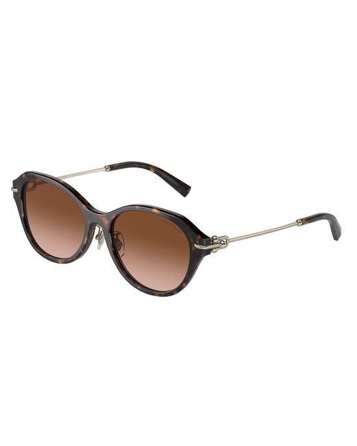 Tiffany & Co Black Tf4210D 80153B Sunglasses Acetate Round Normal Shaded