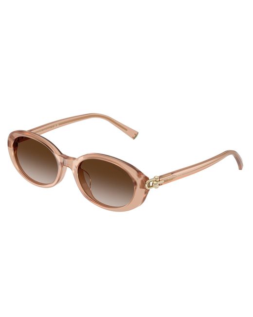 Tiffany & Co Black Tf4242D 82683B Sunglasses Acetate Round Normal Shaded