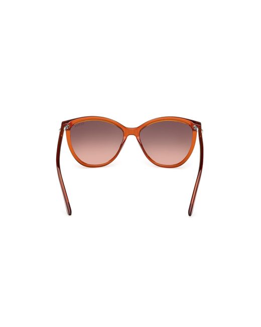 Guess Black Gu00256 44F Sunglasses Injected Cat Eye Normal