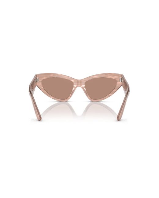 Dolce & Gabbana Brown Dg4439 3411/3 Sunglasses Acetate Cat Eye Normal