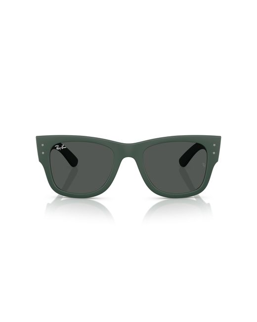 Ray-Ban Black Ray