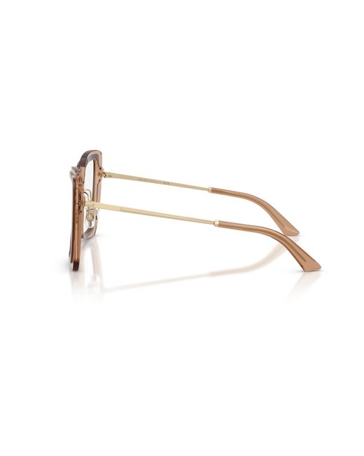 Jimmy Choo Black Jc3059 5105 Optical Frames Acetate Transparent Butterfly Normal
