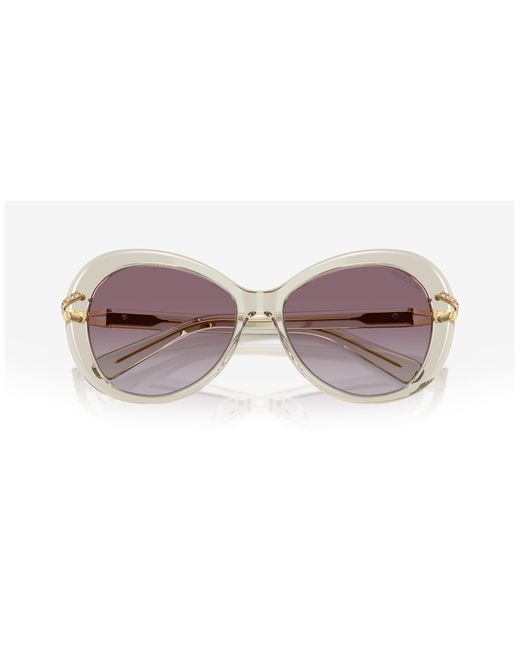 Swarovski Black Sk6026 30038H Sunglasses Acetate Butterfly Normal Shaded
