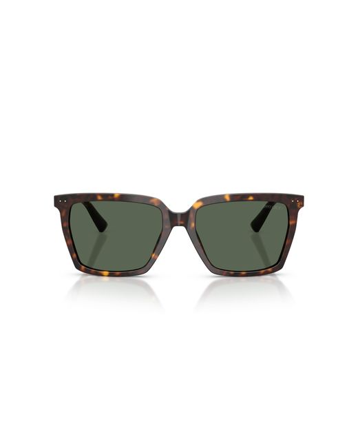 Jimmy Choo Black Jc5051 500271 Sunglasses Acetate Squared Normal