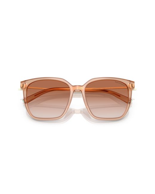 Tiffany & Co Black Tf4244D 826813 Sunglasses Acetate Squared Normal Nuanced