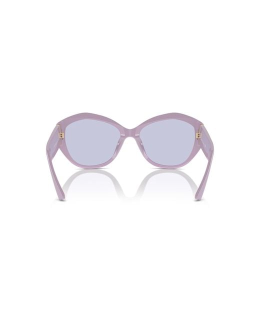 Jimmy Choo Black Jc5013U 50221A Sunglasses Acetate Lilac Butterfly Normal
