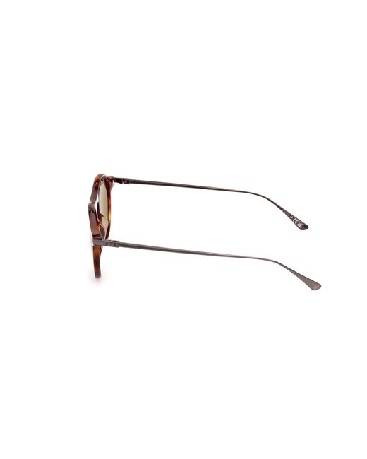 Web Black We0346 52N Sunglasses Acetate Round Normal