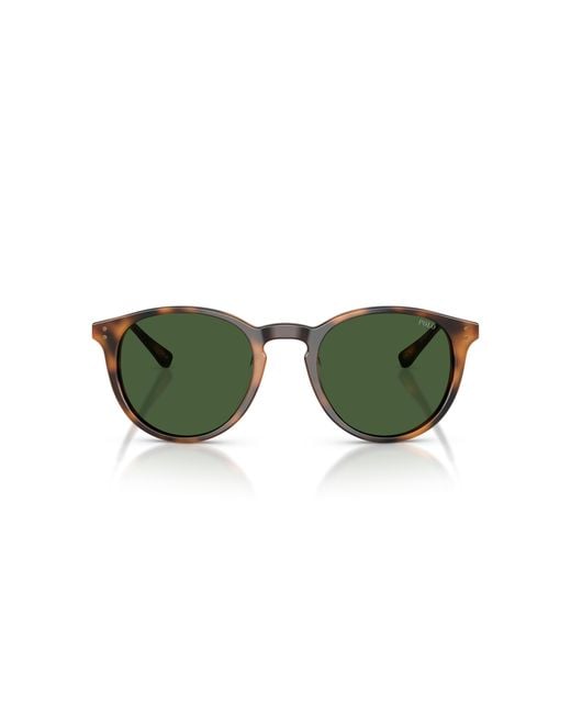 Polo Ralph Lauren Green Ph4239U 500371 Sunglasses Acetate Pantos Normal for men