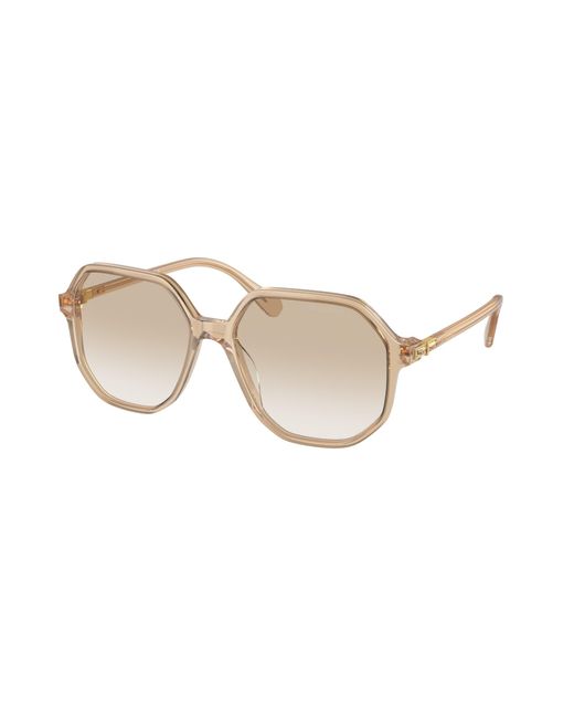 Swarovski Black Sk6003 103411 Sunglasses Acetate Geometric Normal Nuanced
