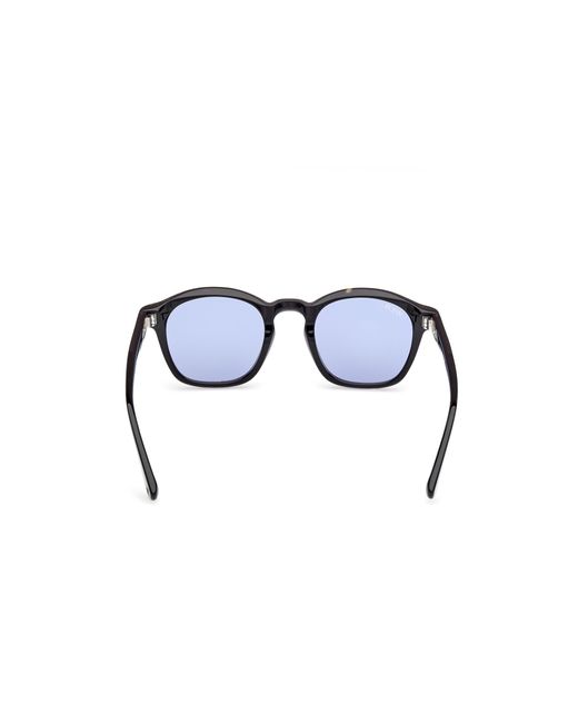 Web Black We0384 56V Sunglasses Acetate Round Normal for men