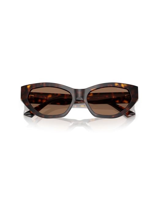 Jimmy Choo Black Jc5022B 500273 Sunglasses Acetate Cat Eye Normal