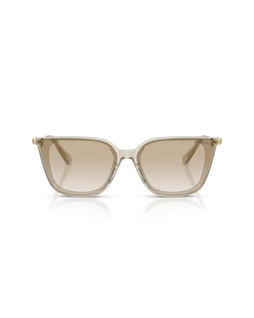 Swarovski Black Sk6054D 300311 Sunglasses Acetate Squared Normal Nuanced