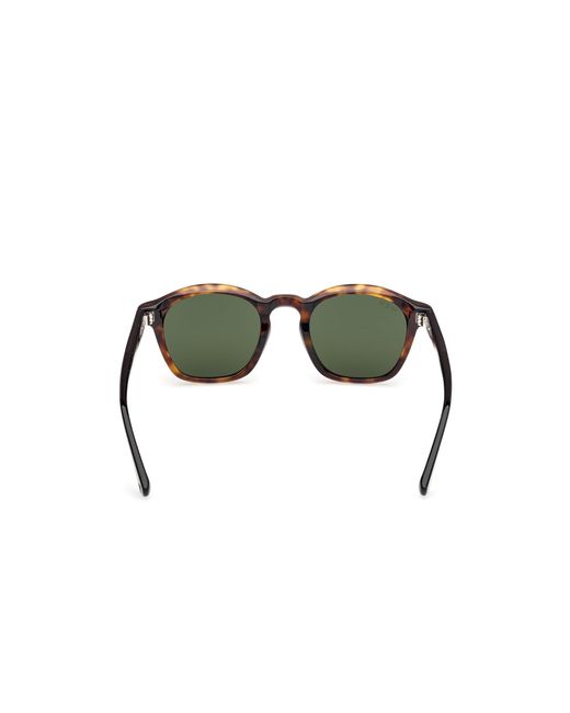 Web Green We0384 55N Sunglasses Acetate Round Normal for men