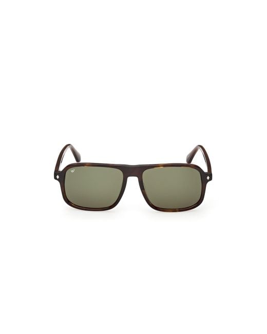 Web Multicolor We0396 56N Sunglasses Acetate Squared Normal for men