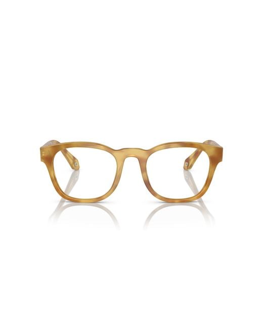 Giorgio Armani Black Ar7242 5979 Optical Frames Acetate Transparent Squared Normal for men