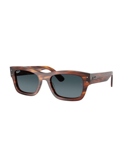 Ray-Ban Black Ray