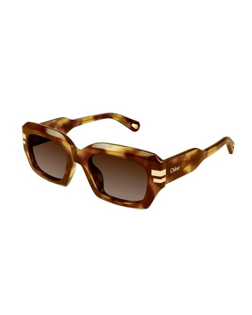 Chloé Black Ch0256S 002 Sunglasses Acetate Squared