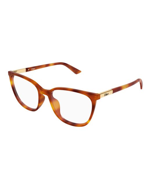 Chloé Black Ch0370Ol 002 Optical Frames Acetate Transparent Cat Eye