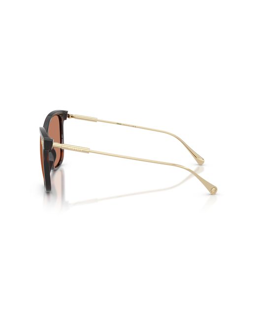 Versace Black Ve4507U 108/73 Sunglasses Injected Squared Normal