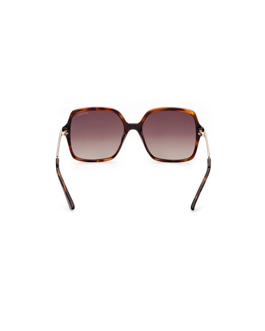 Guess Black Gu7845 52F Sunglasses Injected Squared Normal Shaded