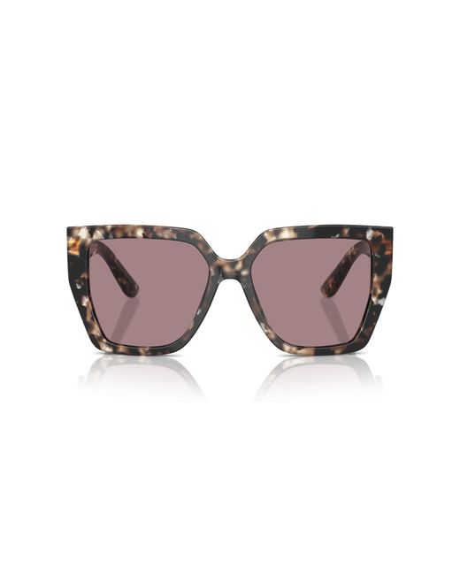 Dolce & Gabbana Black Dg4438 34387N Sunglasses Acetate Squared Normal