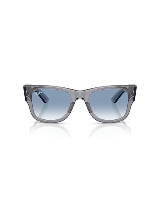 Ray-Ban Black Ray