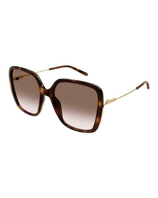Chloé Black Ch0173S 002 Sunglasses Acetate Squared Shaded