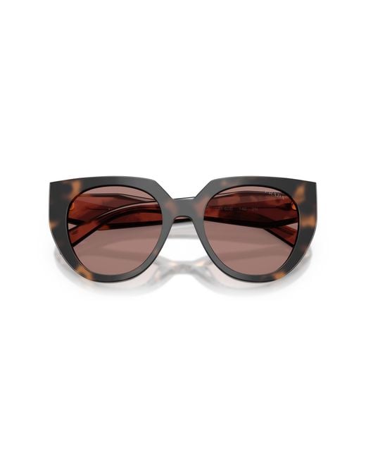 Prada Black Pr 14Ws 23A60B Sunglasses Acetate Cat Eye Normal