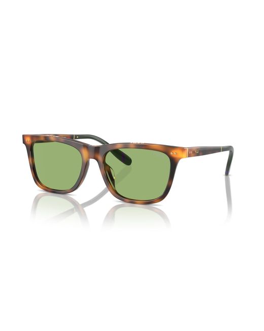 Polo Ralph Lauren Green Ph4205U 6089/2 Sunglasses Acetate Squared Normal for men