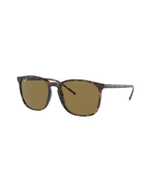 Ray-Ban Black Ray