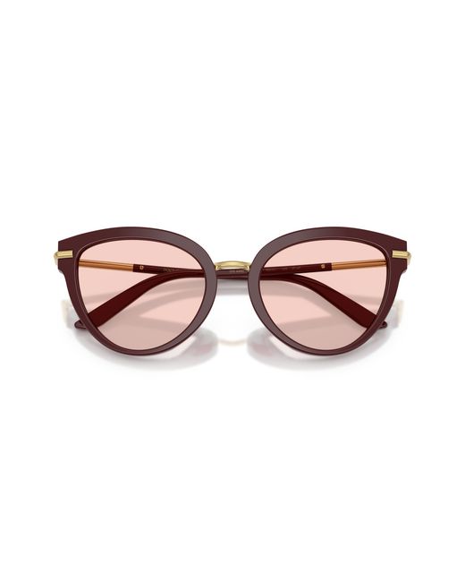 Dolce & Gabbana Black Dg4492 3091P5 Sunglasses Acetate Butterfly Photochromatic