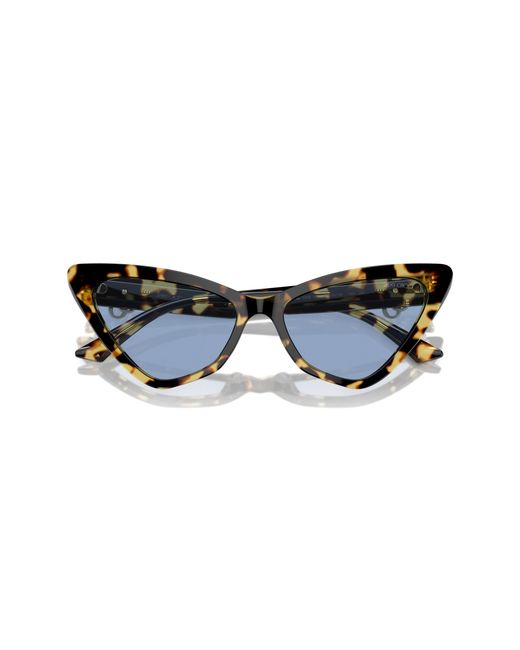 Jimmy Choo Black Jc5008 500472 Sunglasses Acetate Light Cat Eye Normal