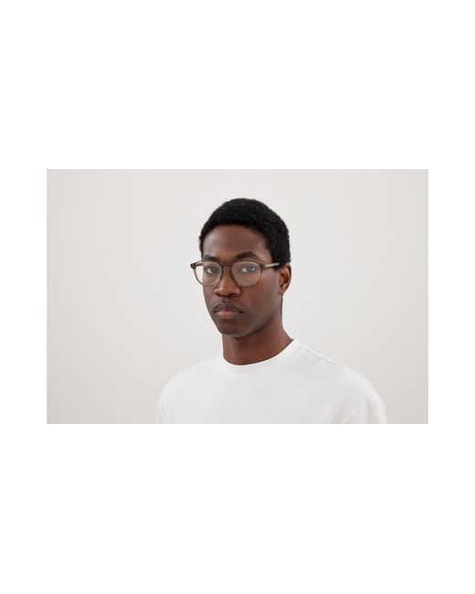Bottega Veneta Black Bv1312O 012 Optical Frames Acetate Transparent Round for men