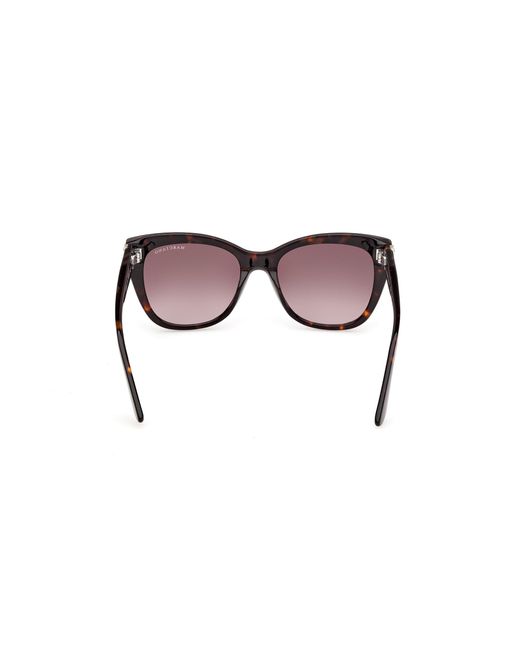 Guess Black Gm00040 52F Sunglasses Acetate Squared Normal