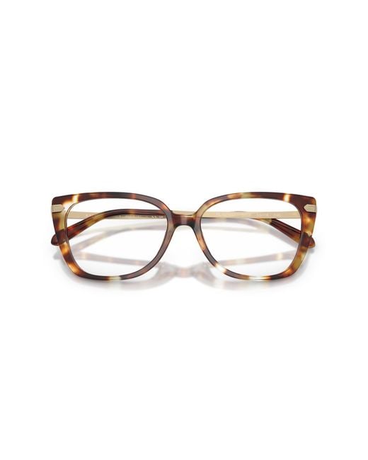 Ralph Lauren Black Rl6250U 6056 Optical Frames Acetate Squared Normal