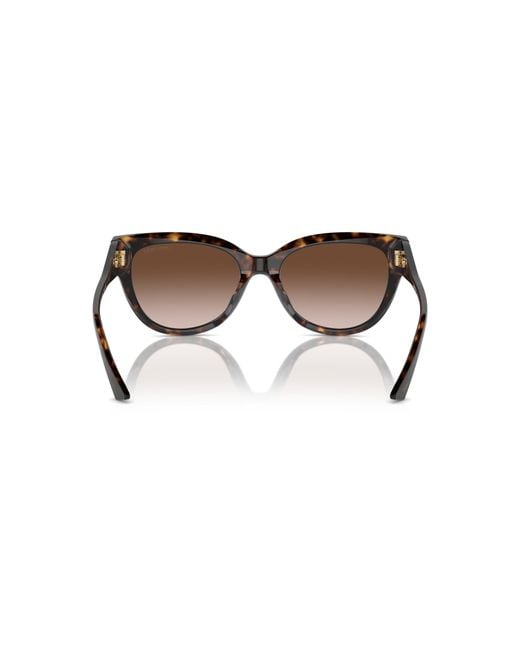 Jimmy Choo Black Jc5018U 500213 Sunglasses Acetate Pantos Normal Shaded