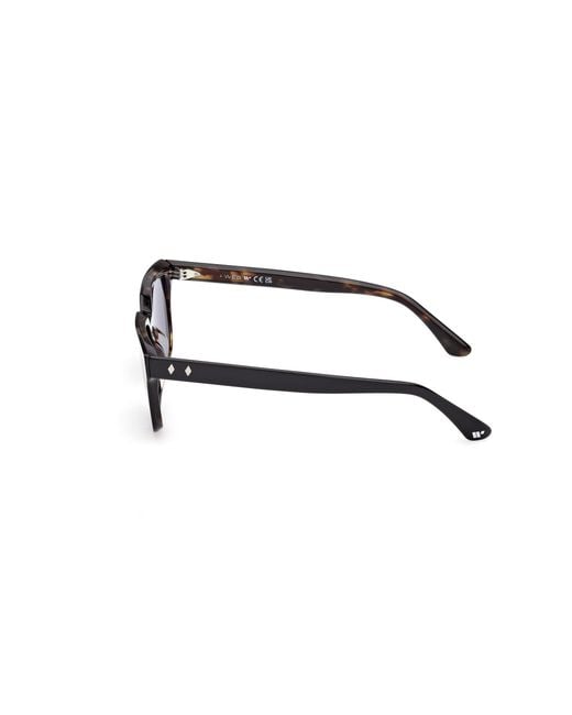 Web Black We0391 05V Sunglasses Acetate Squared Normal for men