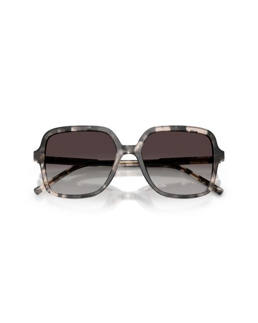 Dolce & Gabbana Black Dg4539 31728G Sunglasses Acetate Squared Normal Nuanced